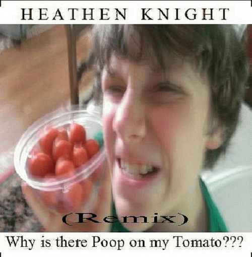 Heathen Knight : Why Is There Poop on My Tomato (Remix) (Single)